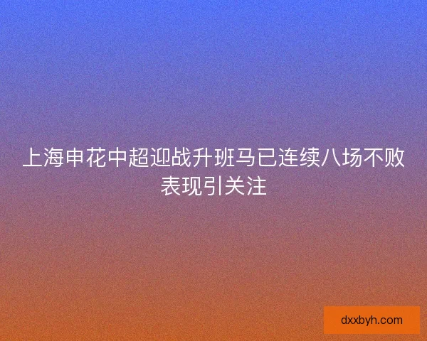 上海申花中超迎战升班马已连续八场不败表现引关注