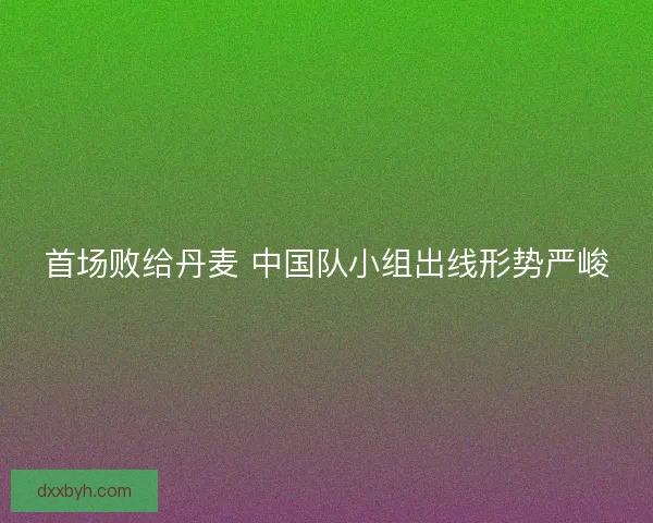 首场败给丹麦 中国队小组出线形势严峻