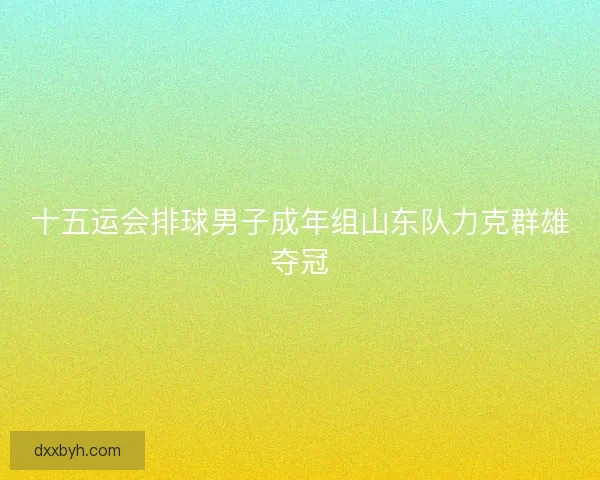 十五运会排球男子成年组山东队力克群雄夺冠