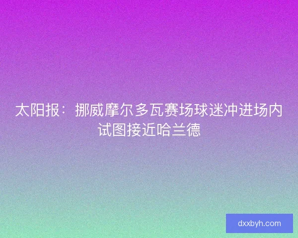 太阳报：挪威摩尔多瓦赛场球迷冲进场内试图接近哈兰德